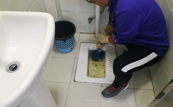 白鹭湖管理区疏通蹲坑